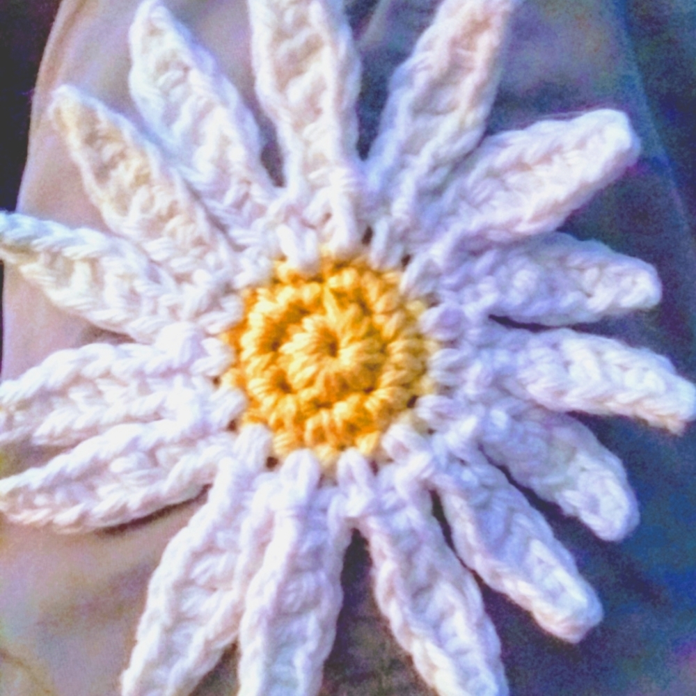 Meet your Posher, Shanna